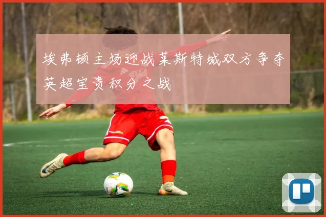 埃弗顿主场迎战莱斯特城双方争夺英超宝贵积分之战