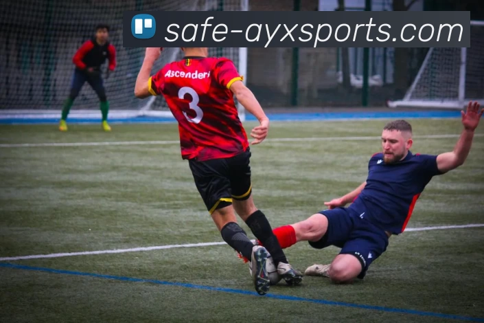 爱游戏平台生态图